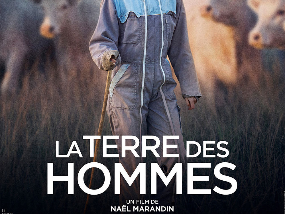 Logo La terre des hommes